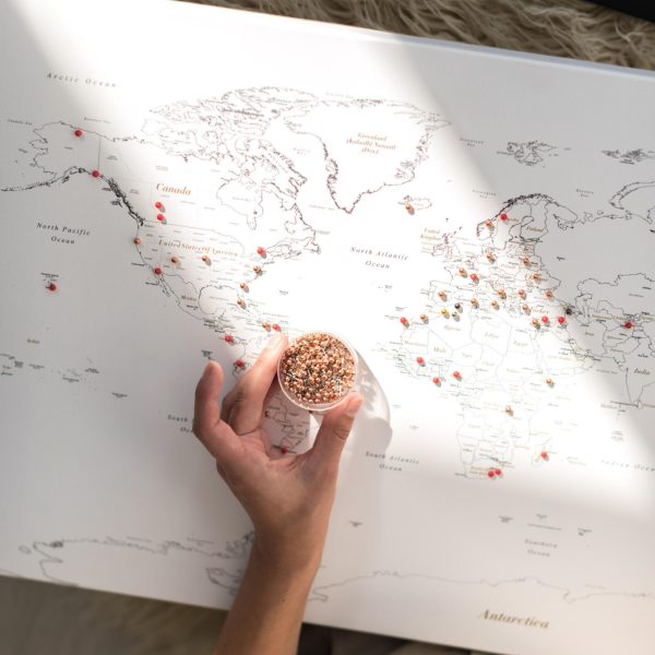 modern minimal world map decor on canvas with pins white 1mp